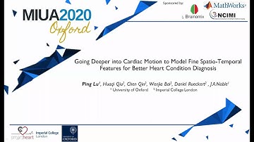 MIUA 2020: Going Deeper into Cardiac Motion Analysis to Model Fine Spatio-Temporal Features