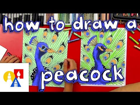 Video: How To Draw A Peacock