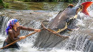 Full Waterfall fishing: Catching 250kg+ giant catfish & carp with DIY fish trap for sale with family Update