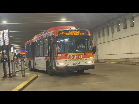 NICE Bus: 2011