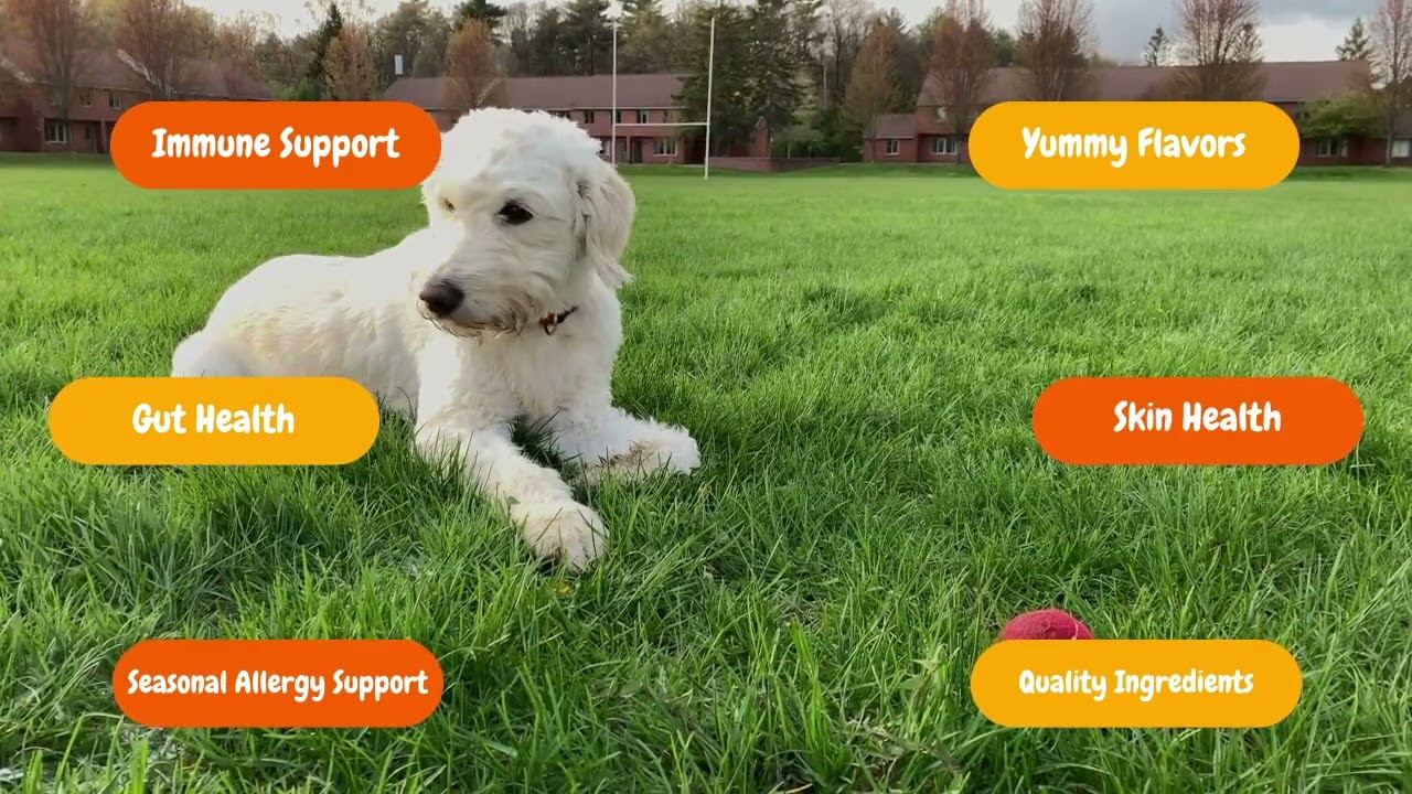 Reviews of Zesty Paws Aller-Immune Bites