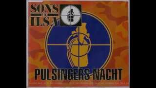 Sons Of Ilsa - Pulsingers Nacht (I&#39;m A Raver Baby)