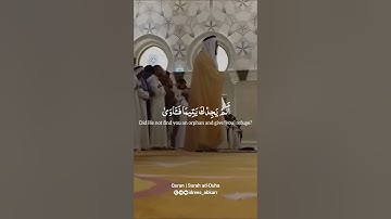 Surah Ad-Duha l Idrees Abkar | سورة الضحي l إدريس أبكر