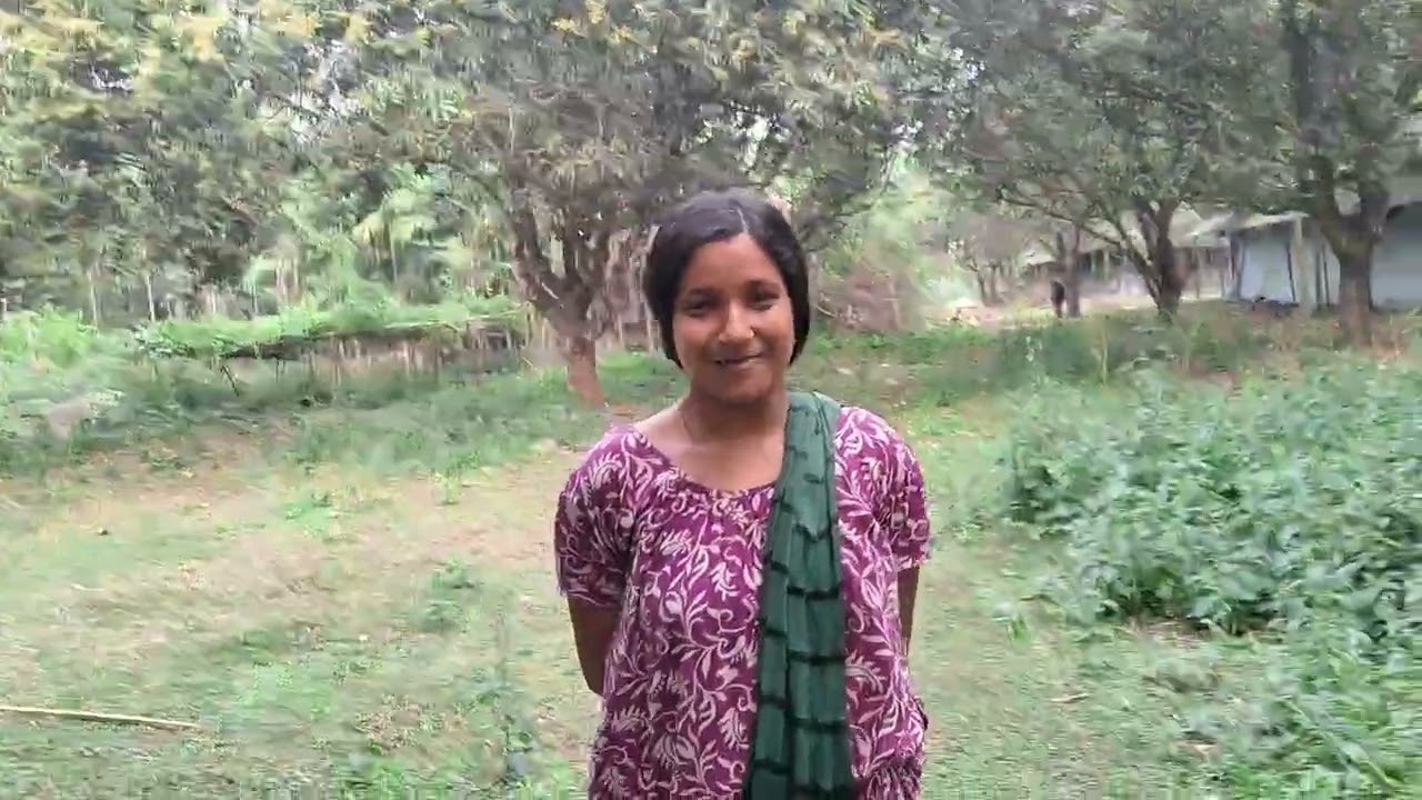 আমাদের আম বাগানে এবার প্রচুর পরিমাণে আমের মুকুল এসেছে 🥰🥰।