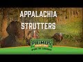 Appalachia Strutters - Turkey Hunts In Hills Of KY & TN! - Primos Truth About Hunting Season 19