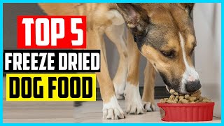 ✅Top 5 Best Freeze Dried Dog Food 2024 Review