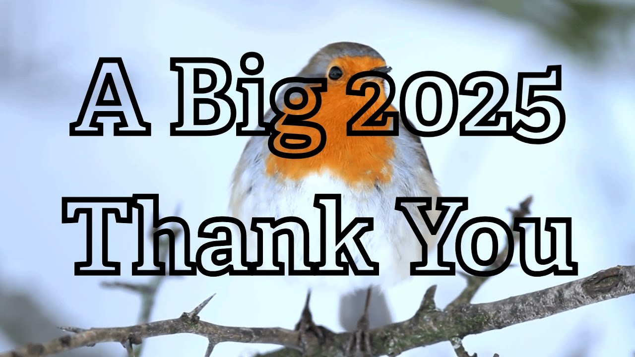 *Большое спасибо в 2025 году* | Фонд охраны дикой природы Шеффилда и Ротерема