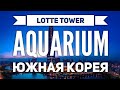 LOTTE SKY TOWER и AQUARIUM. Сеул ВЛОГ. Корея