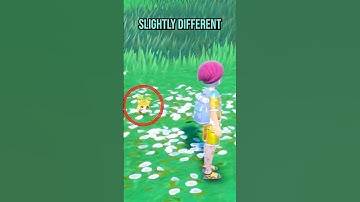 de zeldzaamste glanzende in scharlaken