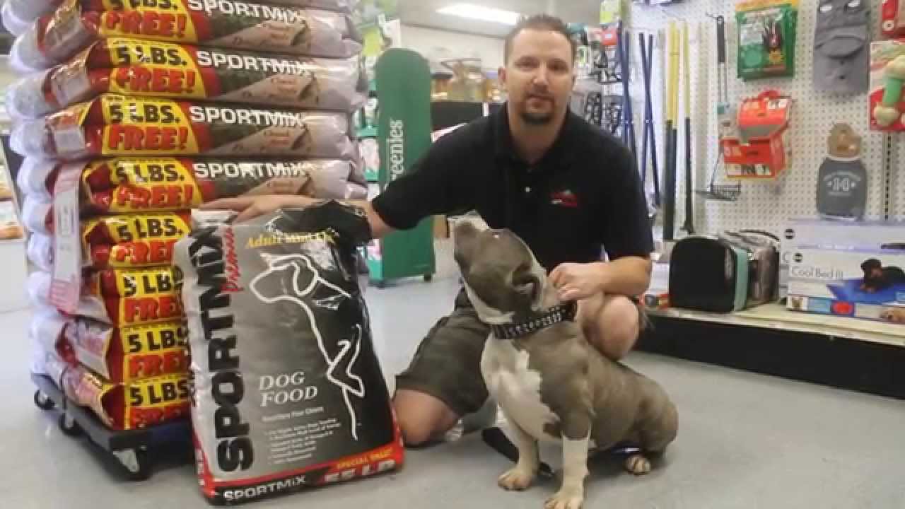 Good Dog Food Brands For Pitbulls Good Dog Food Brands For Pitbulls