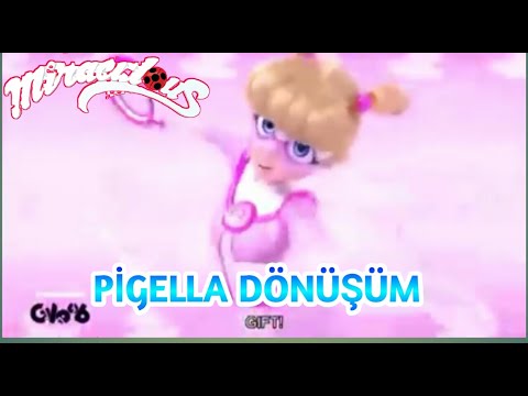 PIGELLA DÖNÜŞÜM-MUCİZE:UĞUBÖCEĞI VE KARAKEDİ