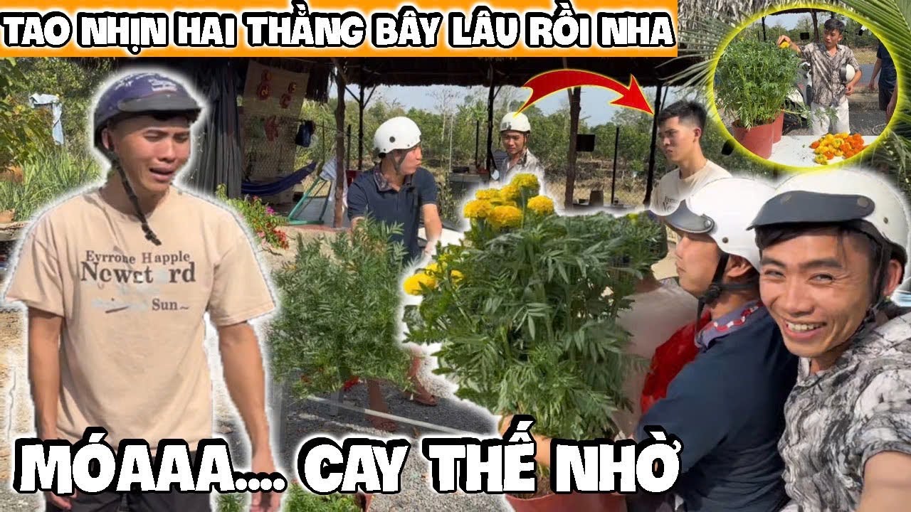 Thôi xong luôn…Coi như mất cái Tết luôn -Xong mày rồi Phúc Lỏ ơi