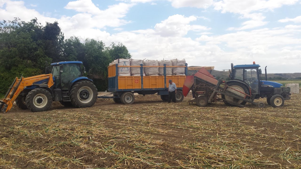 New Holland Tn 55 + J.J. Broch y New Holland Tsa 125 + Ferca + Tenías// Ajos