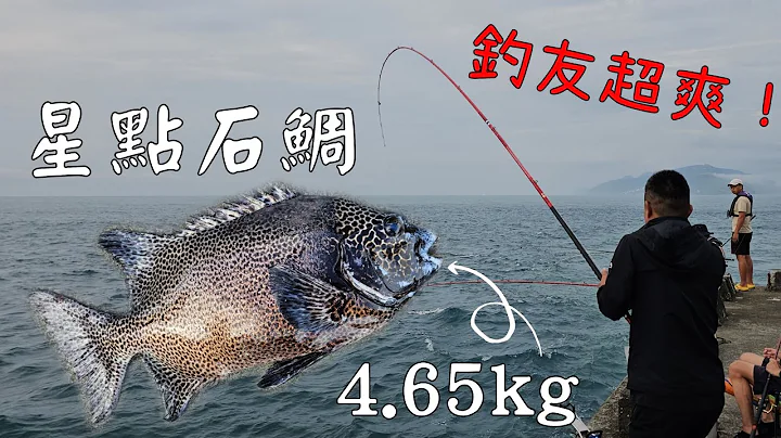 20230618花莲港东堤钓游!终于好天气啦!钓友的石鲷~花脸~白毛~瓜瓜!!^^Taiwan Hualien fishing - 天天要闻
