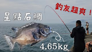 20230618花蓮港東堤釣遊終於好天氣啦釣友的石鯛~花臉~白毛~瓜瓜^^Taiwan Hualien fishing