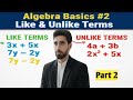 Algebra for Beginners – Like &amp; Unlike Terms (Step-by-Step)
