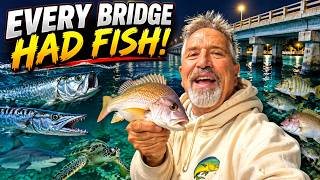 EVERY Bridge Had Fish! Cousin Jim Tests the Florida Keys Bridges