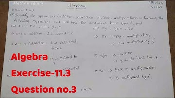 Exercise 11.3 Question no.3-Algebra-6th class-ncert