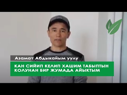 Video: Америкалык бук жалбырактуубу?