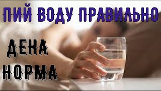 Денна Норма ВОДИ / Пий Воду Щоранку