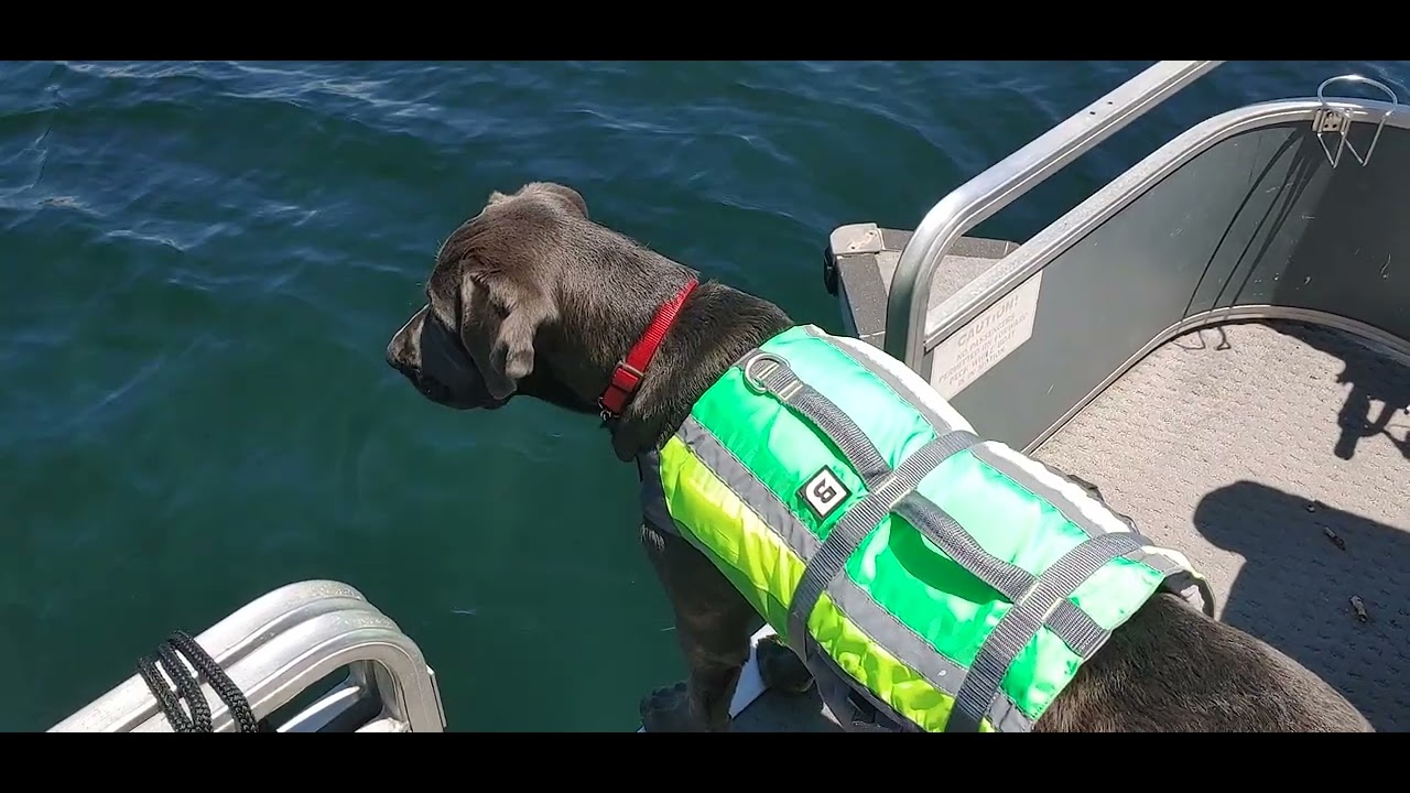 NAno! First boat ride!