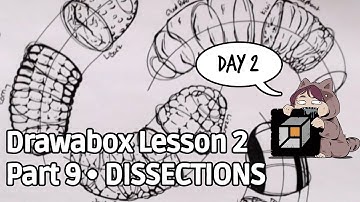 Drawabox Lesson 2: Part 9 Dissections Day 2