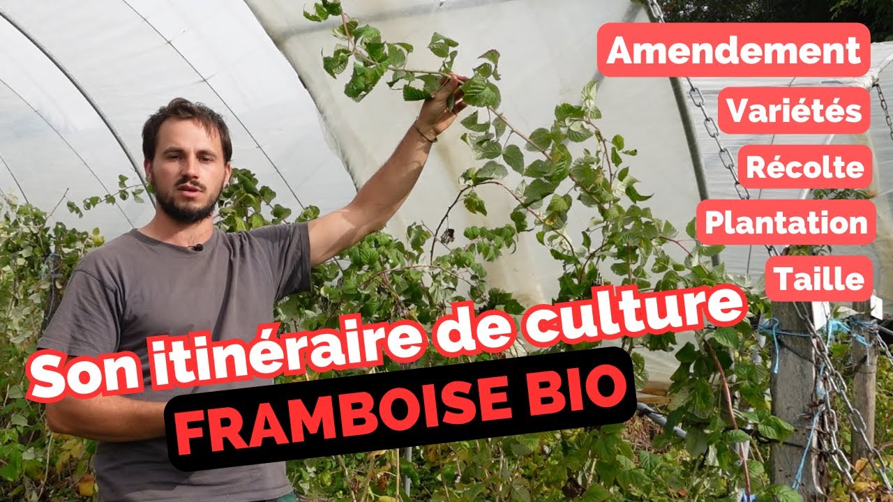 Saison 1 Ep 7 - Culture de la framboise bio