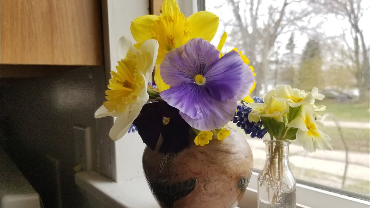 Цветок 20 апреля