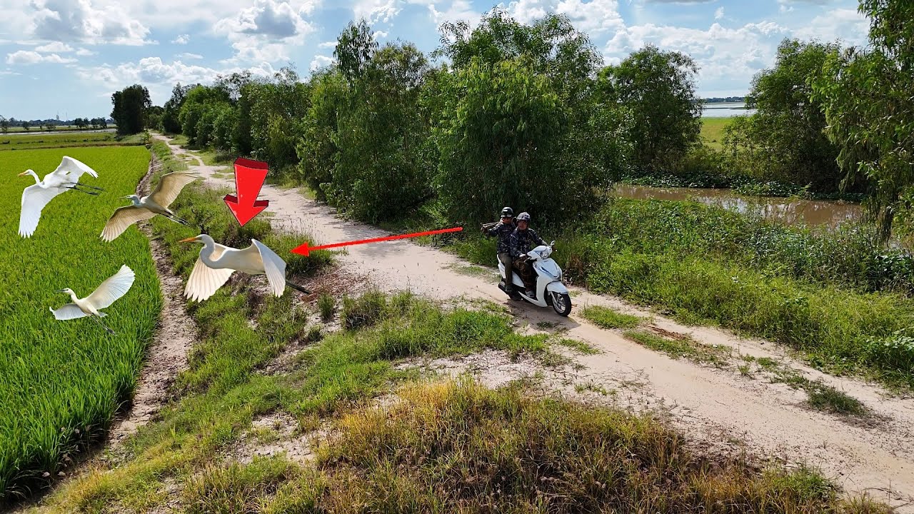 Mét 72 - DÙNG THUN M72 PRO CHẠY XE BEM CÒ ĐANG BAY HẠ TOÀN SIÊU PHẨM ĐẦU MÙA