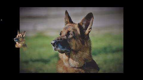 iOS 16 - NEW Photography Features - Protected Folders, Cutout, and iCloud Share Photo Library