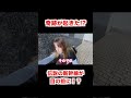見れたら奇跡の新幹線が目の前に!?