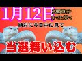 【1月12日】見たら号泣するほど嬉しい2026年になります。【金運が上がる音楽・願いが叶う音楽】