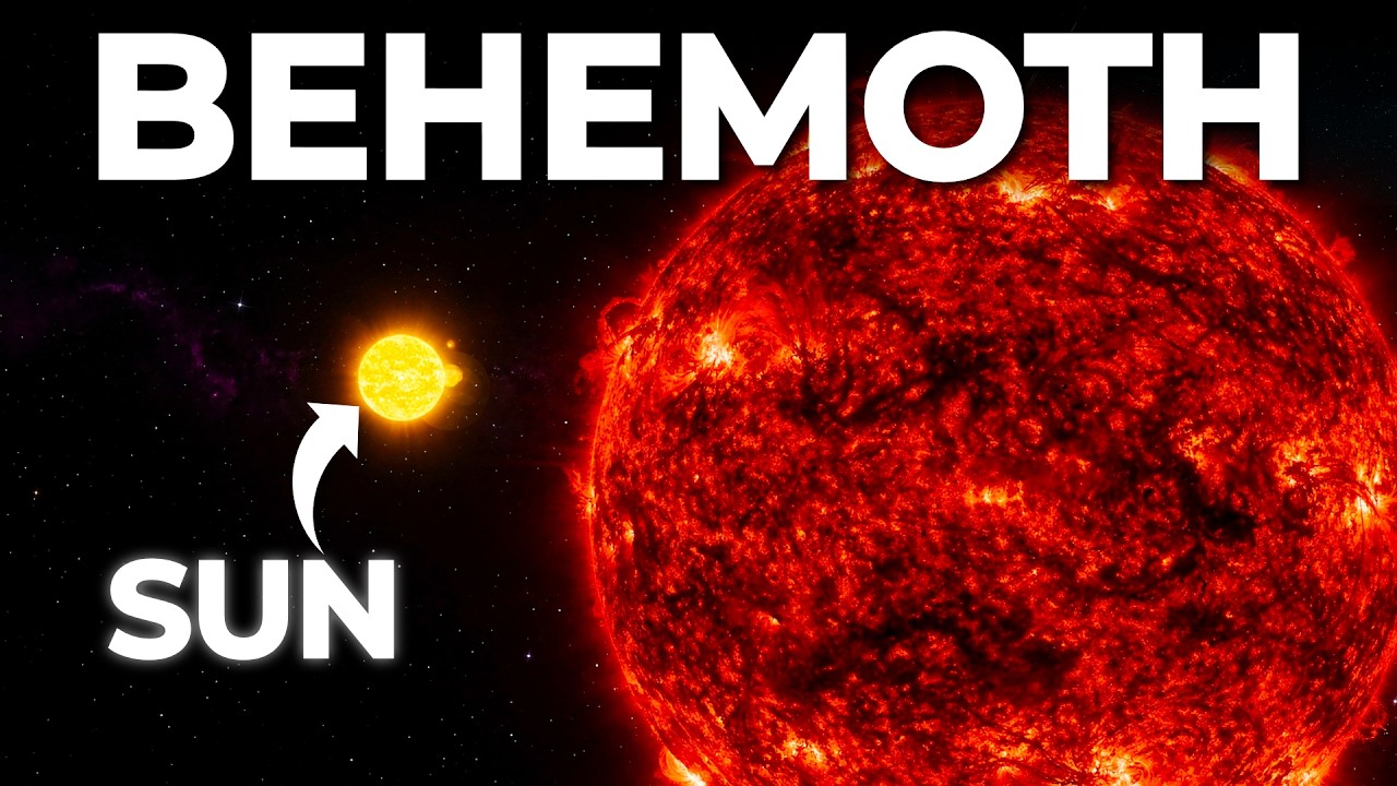 Behemoth — Is This the Largest Star in the Universe? - YouTube