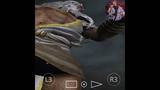 Zeus Destroyed Sparta  God Of War 2  godofwar2  kratos games shorts games