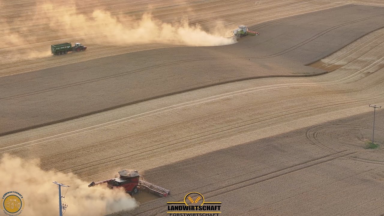 15m Schneidwerk Hier läuft der neue CASE AF 10 Mähdrescher gegen Lexion 770 Getreide Weizen Gerste 