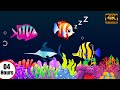 8 HOURS Baby Sleep and Unwind with a Enchanting | Lullaby Beautiful Fish Animation Music |