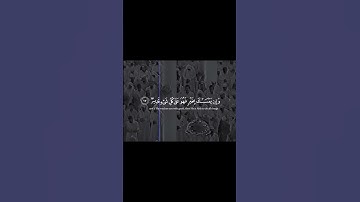 اكتب شيء تؤجر عليه | القارئ محمد أيوب #قرآن #المصحف #quran