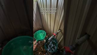 Bucket shower in the Bornean jungle 🛀 | I’m in Sabah!