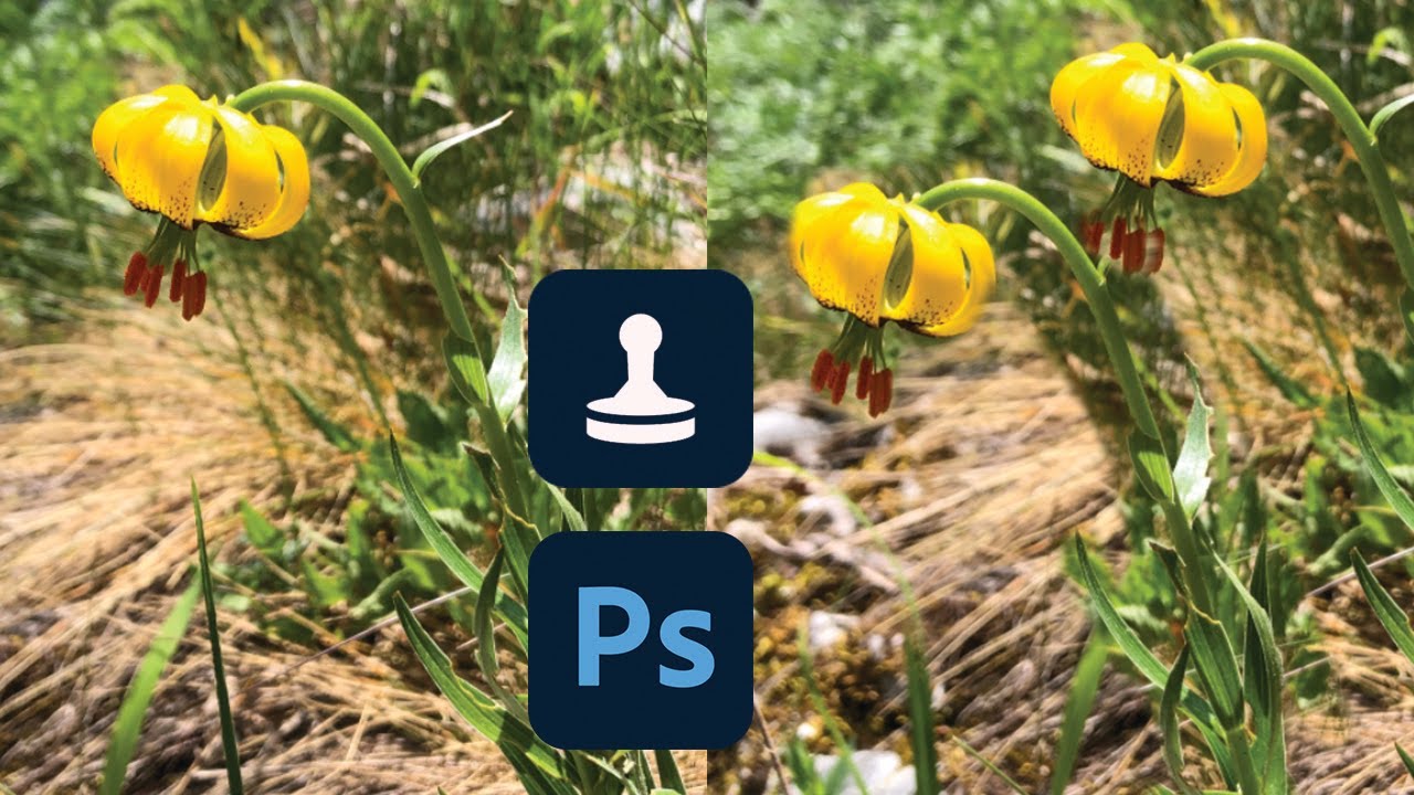 How to use Clone Stamp tool in Photoshop