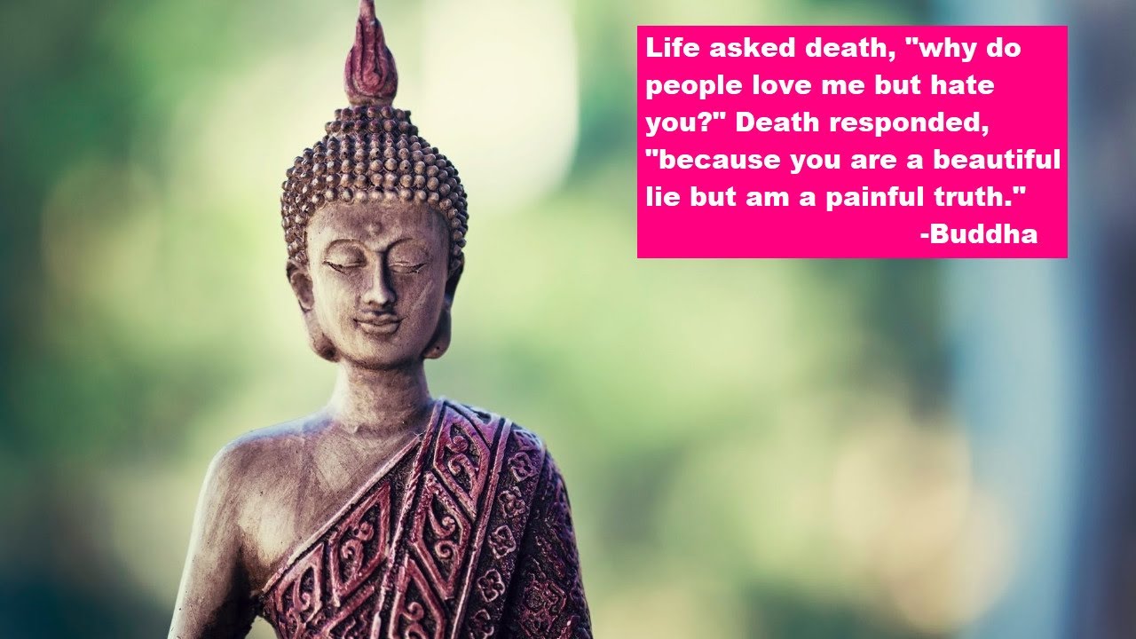 Buddha's Powerful 💪 and Enlightening Quotes about 🌱 Life and Death ...