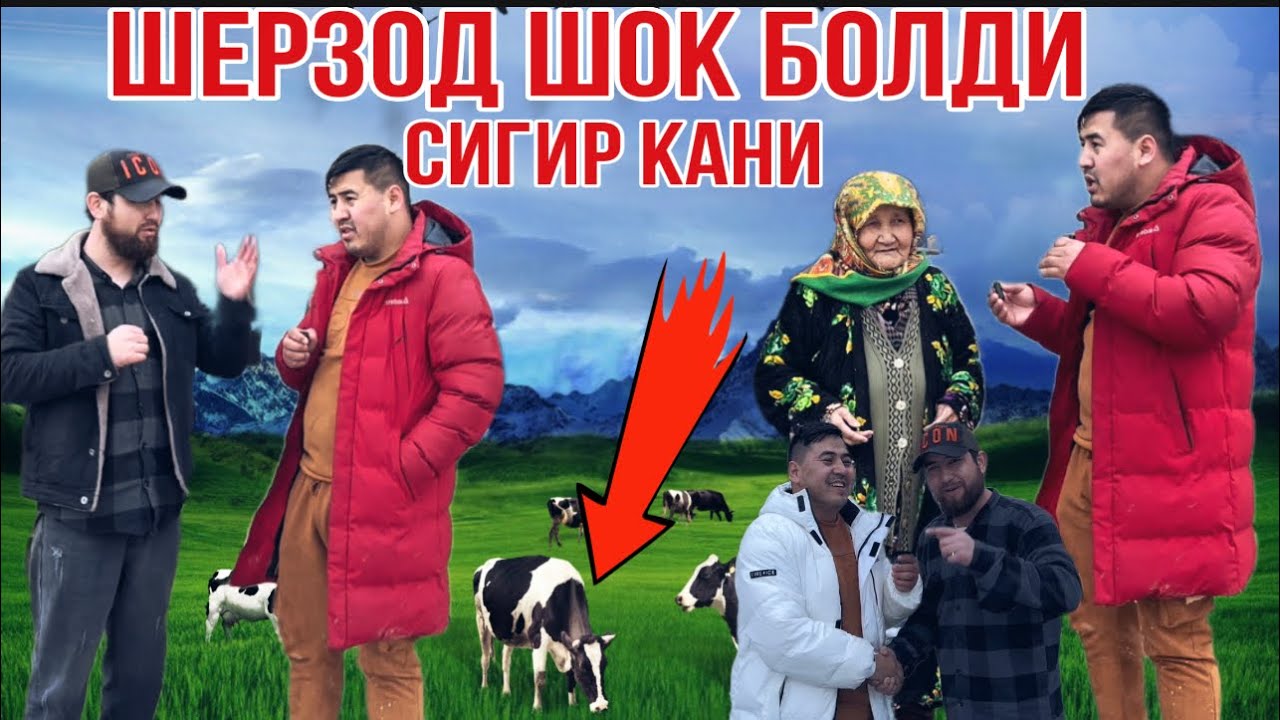 ШЕРЗОД БОСТРИБ КЕЛДИ !!МОМОНИ УЙИНИ УСТАЛАР НИМА КИЛДИ ЖАХЛИМ ЧИКДИ ...