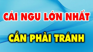 5 Cái Ngu Lớn Nhất Đời Người Cần Phải Tránh