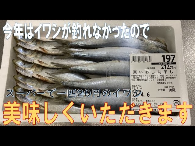 イワシが釣れなかったので 一匹円のイワシの丸干しをいただきました Youtube イワシが釣れなかったので 一匹円のイワシの丸干しをいただきました Youtube