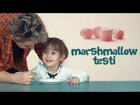 Video: Marshmallow testi qanday o'tkaziladi?