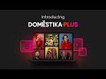 Introducing domestika plus