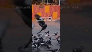 A beautiful dress can change the personality. #love #perhapslove #motivation #inspirational