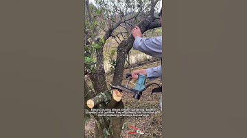 Electric Pruning Shears Effortless Gardening Good tools and machinery can increase work efficiency