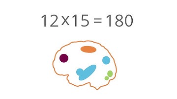 fMRI and DTI: Revealing learning processes in the brain