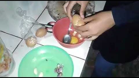 PROCEDURE TEXT "How to make omelet"