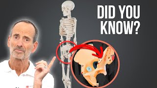 Celebrity Avoid Hip Surgery - Facts About the Hip Net Worth